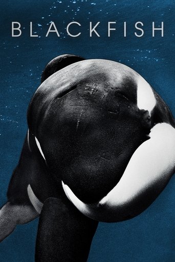 แบล็คฟิช วาฬเพชฌฆาต (Blackfish)