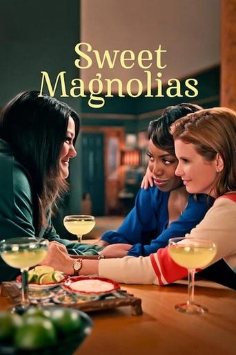 สวีท แมกโนเลีย หวาน กร้าว แกร่ง (Sweet Magnolias)