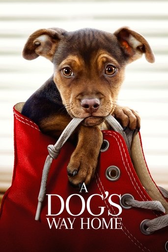 เพื่อนรักผจญภัยสี่ร้อยไมล์ (A Dog's Way Home)