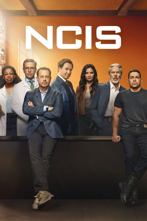 เอ็นซีไอเอส: หน่วยสืบสวนคดีเดือด (NCIS)